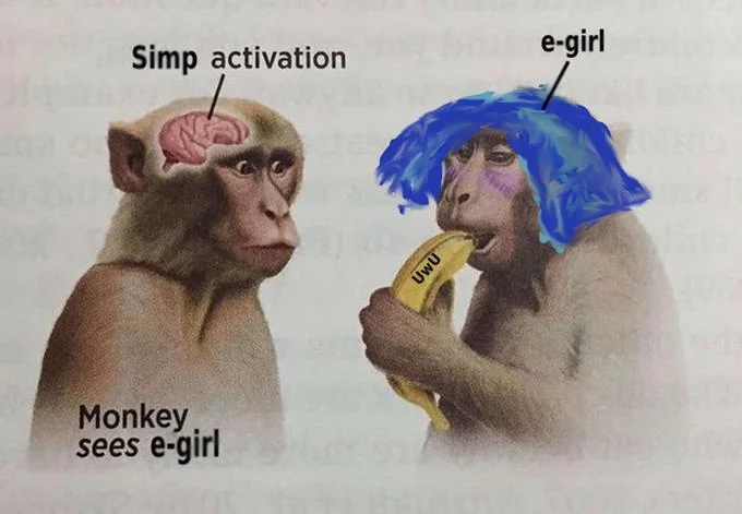 Neuron Activation meme edited to show 'Simp activation' with the banana-eating monkey drawn as a blue-haired e-girl