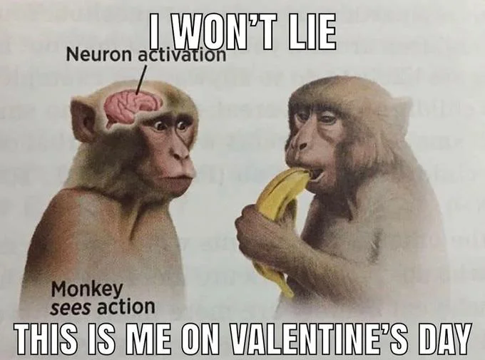 Neuron Activation meme with top text 'I won't lie' and bottom text 'This is me on Valentine's Day'
