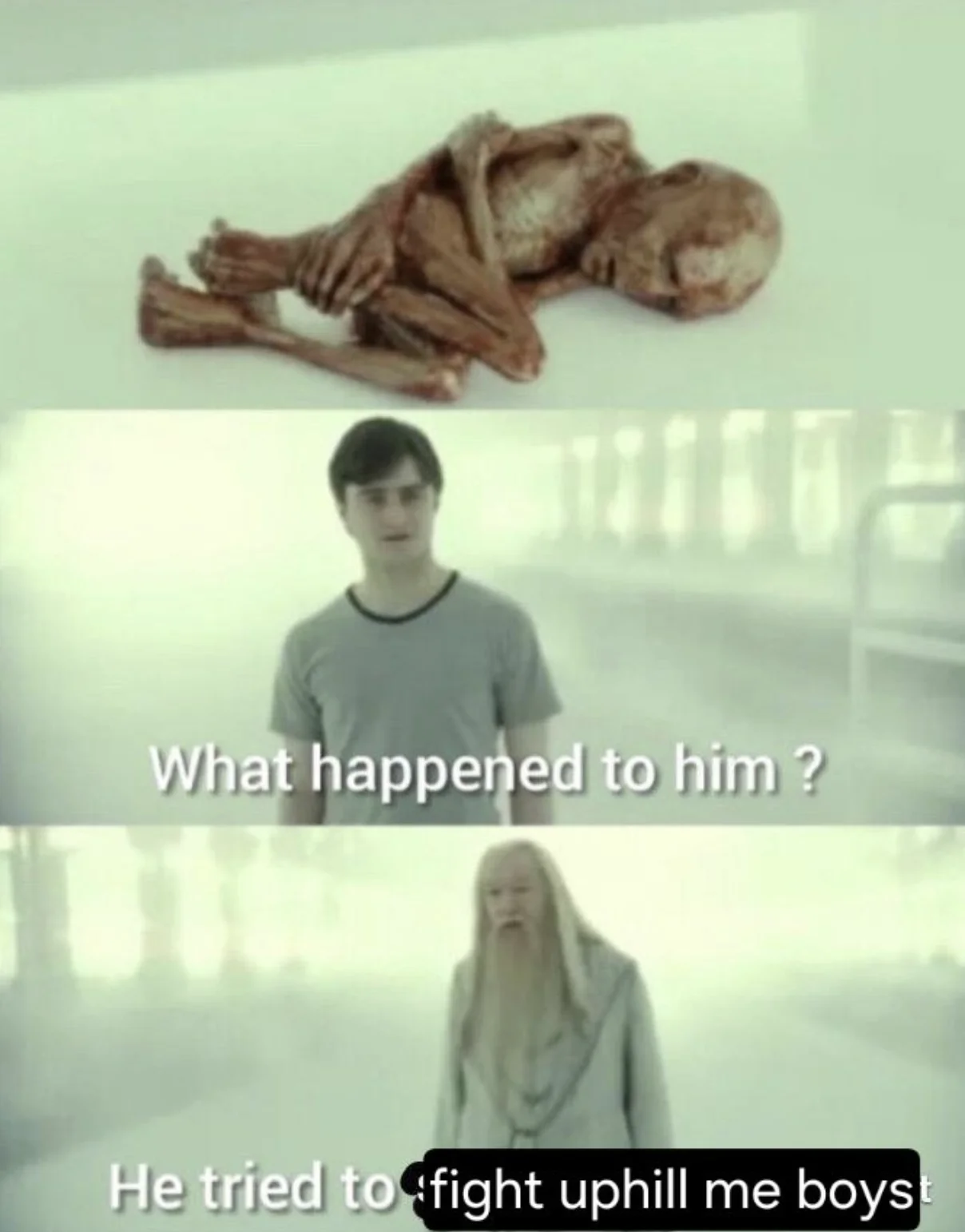 Never Fight Uphill, Me Boys — Harry Potter and Dumbledore meme referencing fighting uphill