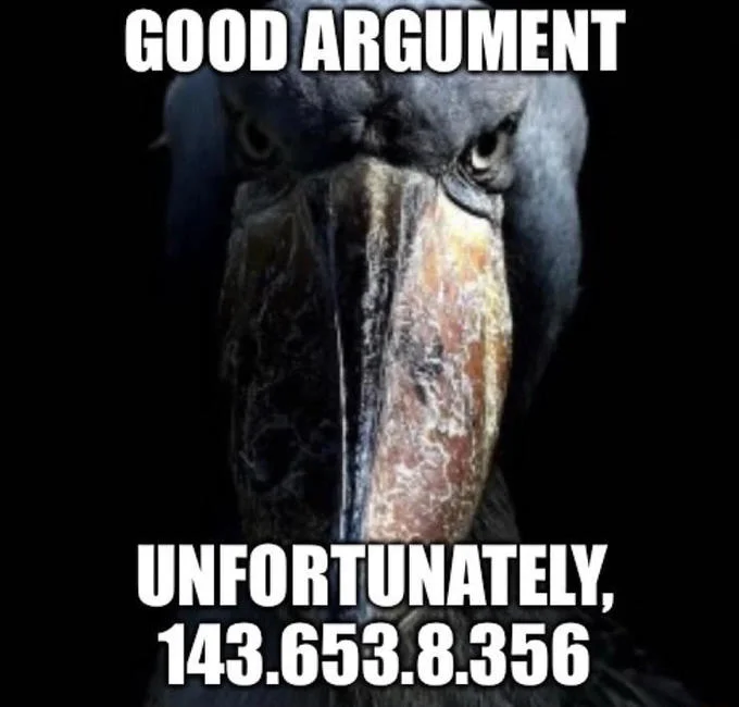 Nice Argument Unfortunately — Close-up of a menacing shoebill stork with meme text 'Good argument / Unfortunately, 143.653.8.356'.