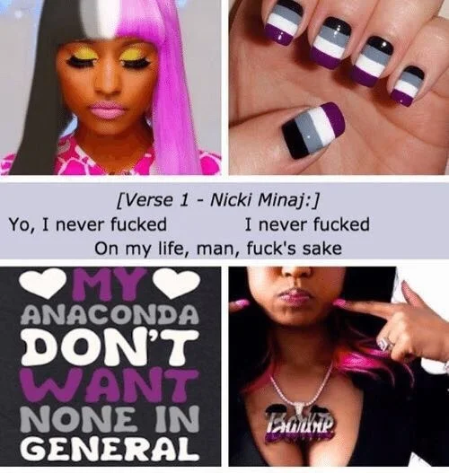 Nicki Minaj Anaconda lyrics meme referencing asexuality