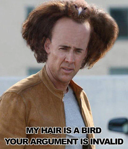 Nicolas Cage with a bird on his head meme captioned 'My hair is a bird, your argument is invalid'