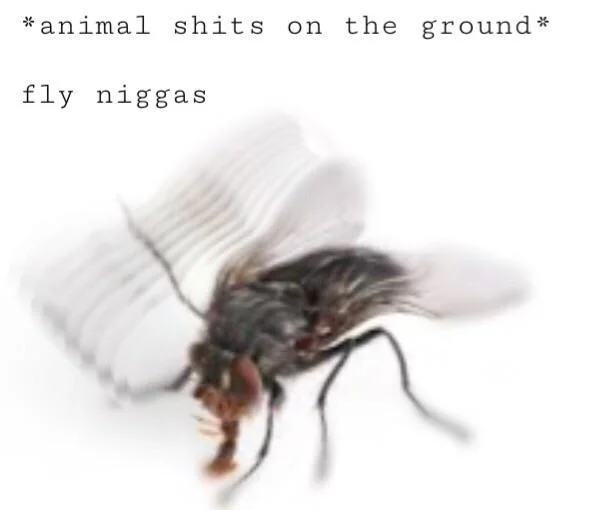 Niggas Be Like — Fly niggas meme showing a housefly rushing toward animal droppings