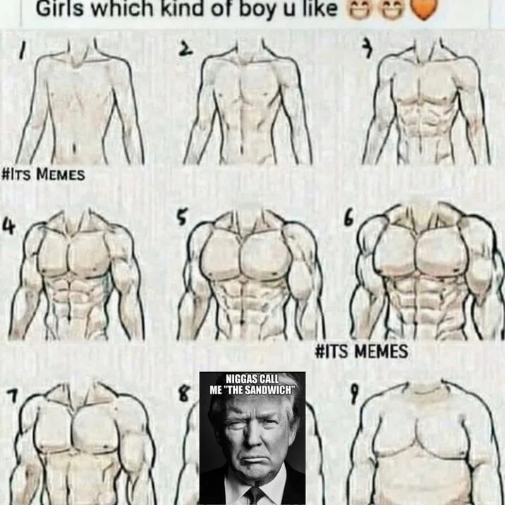 Niggas Call Me "The Sandwich" — Body-type preference chart with the Trump 'Sandwich' meme pasted over option number eight.