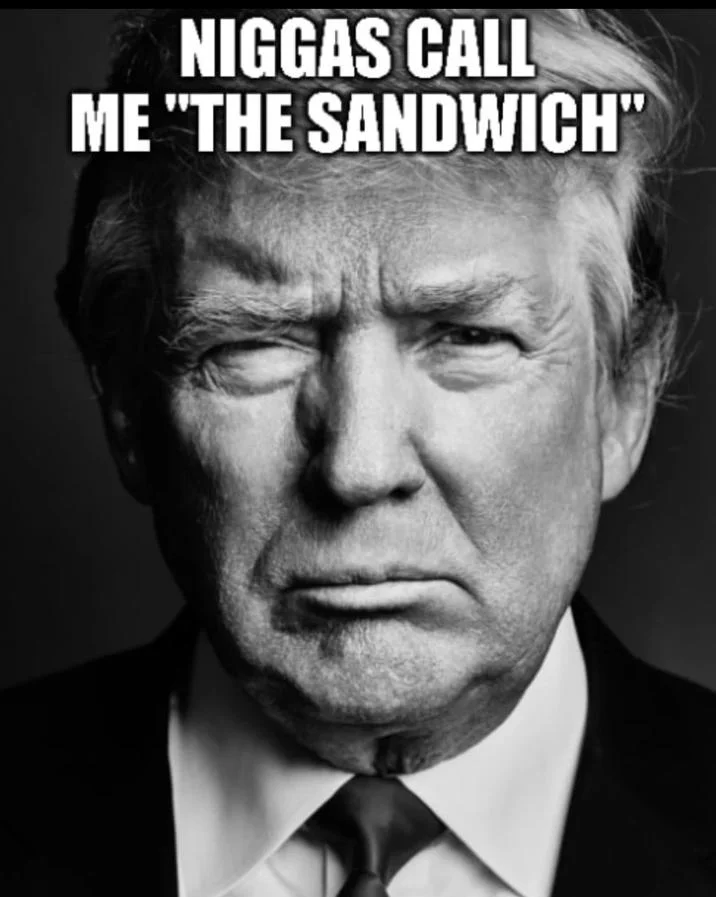 Niggas Call Me "The Sandwich" — Vertical cropped version of the Trump sandwich meme with caption above his face.