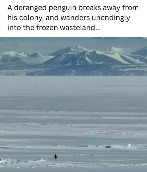 Nihilist Penguin — A penguin stands on frozen ice beneath snowy mountains with text explaining how it wanders from its colony.