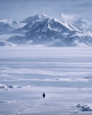 Nihilist Penguin — A lone penguin stands on vast frozen ice, dwarfed by majestic snow-covered mountains in the distance.