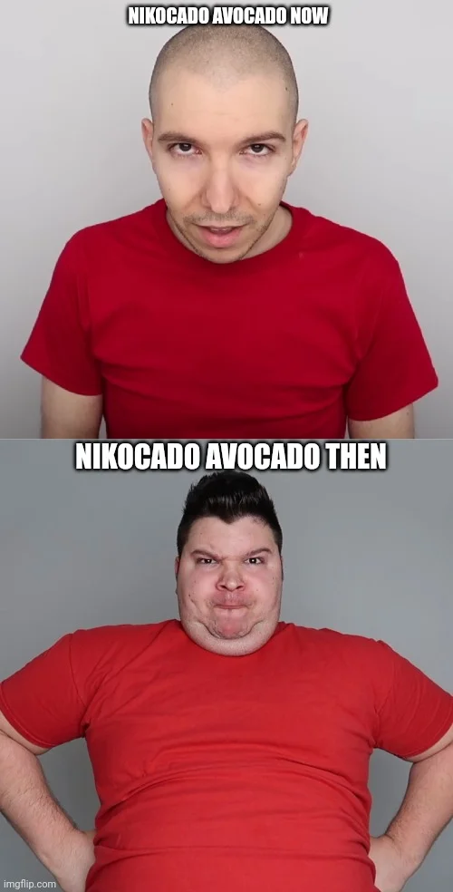 Nikocado Avocado Weight Loss — Before-and-after comparison meme showing Nikocado Avocado's weight loss transformation labeled 'NOW' and 'THEN'.