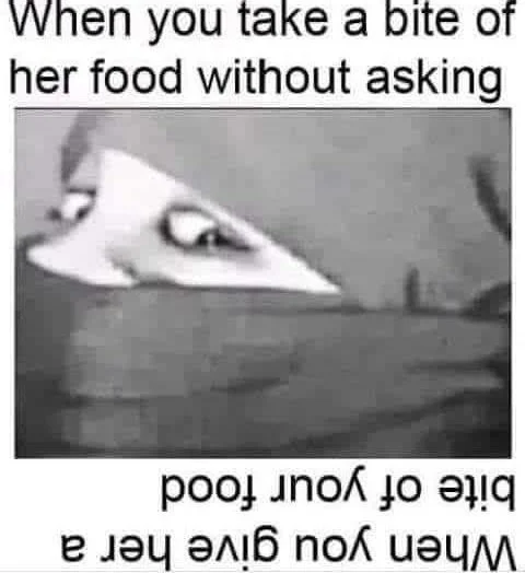Ninja Hood Flip — Upside-down ninja hood meme showing the angry-eyes flip with 'When you take a bite of her food without asking' text right side up.