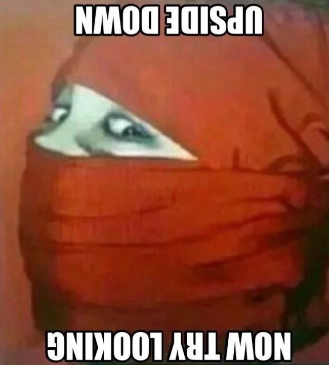 Ninja Hood Flip — Ninja hood meme rotated upside down with reversed 'Now try looking upside down' text and eye slit that now reads as a frown.