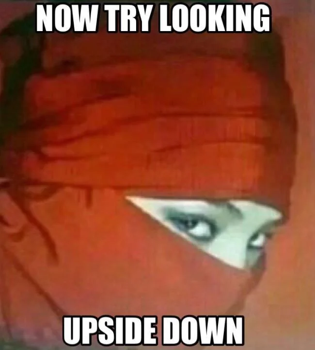 Ninja Hood Flip — Red-tinted ninja hood meme with white impact-font text reading 'Now try looking upside down'.