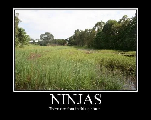 Demotivational poster of a grassy marshland captioned 'NINJAS - There are four in this picture'