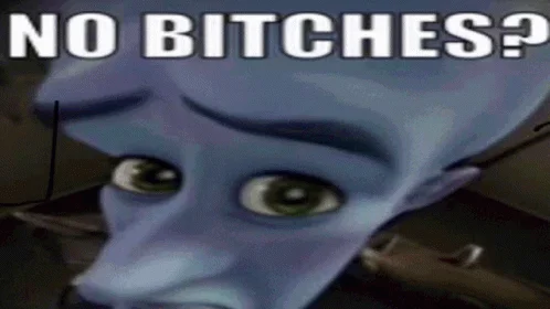 The Metroman character with 'NO BITCHES?' text overlaid showing his characteristic shocked expression.