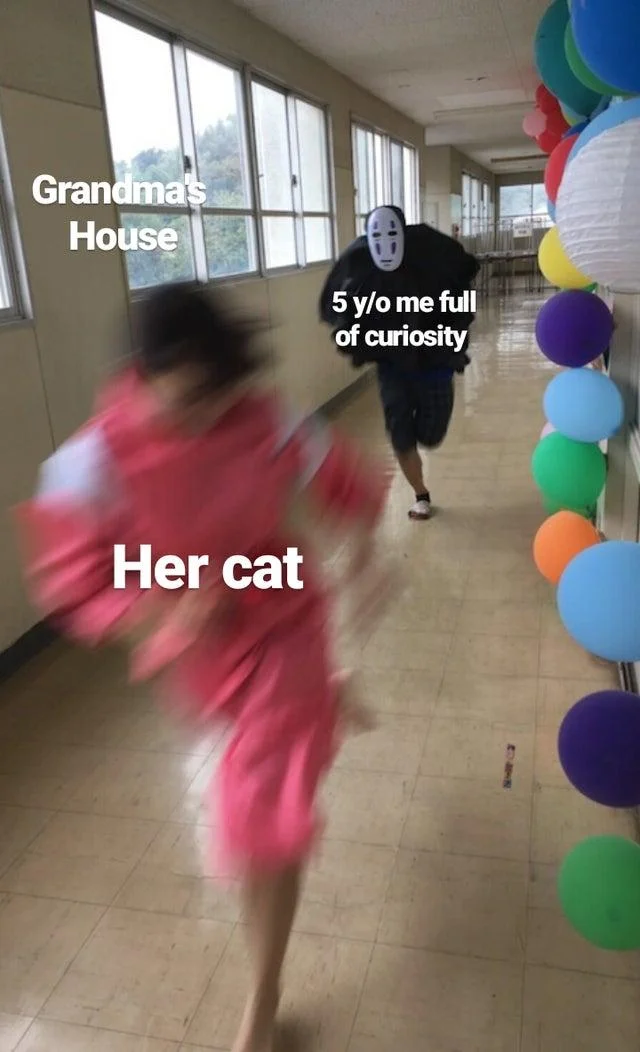 No Face Chasing Chihiro — Chase meme captioned Grandma's House, Her cat, and 5-year-old me full of curiosity