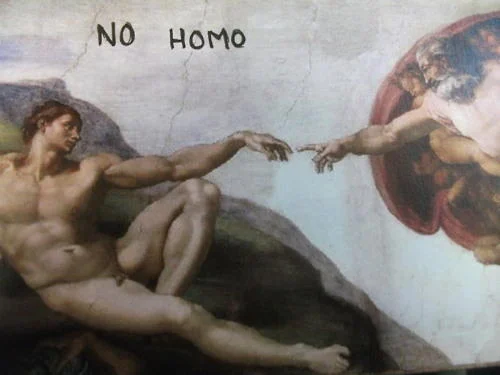Parody of Michelangelo's 'The Creation of Adam' with 'NO HOMO' text, transforming the artwork into a meme.