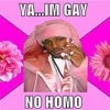 Image macro of two men in close pose on bright pink background with 'WAAH GAY' and 'NO HOMO' text overlays.