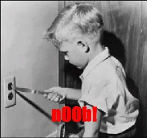 Cartoon nerd character offering a plant to a computer monitor with the word 'NOOB' below