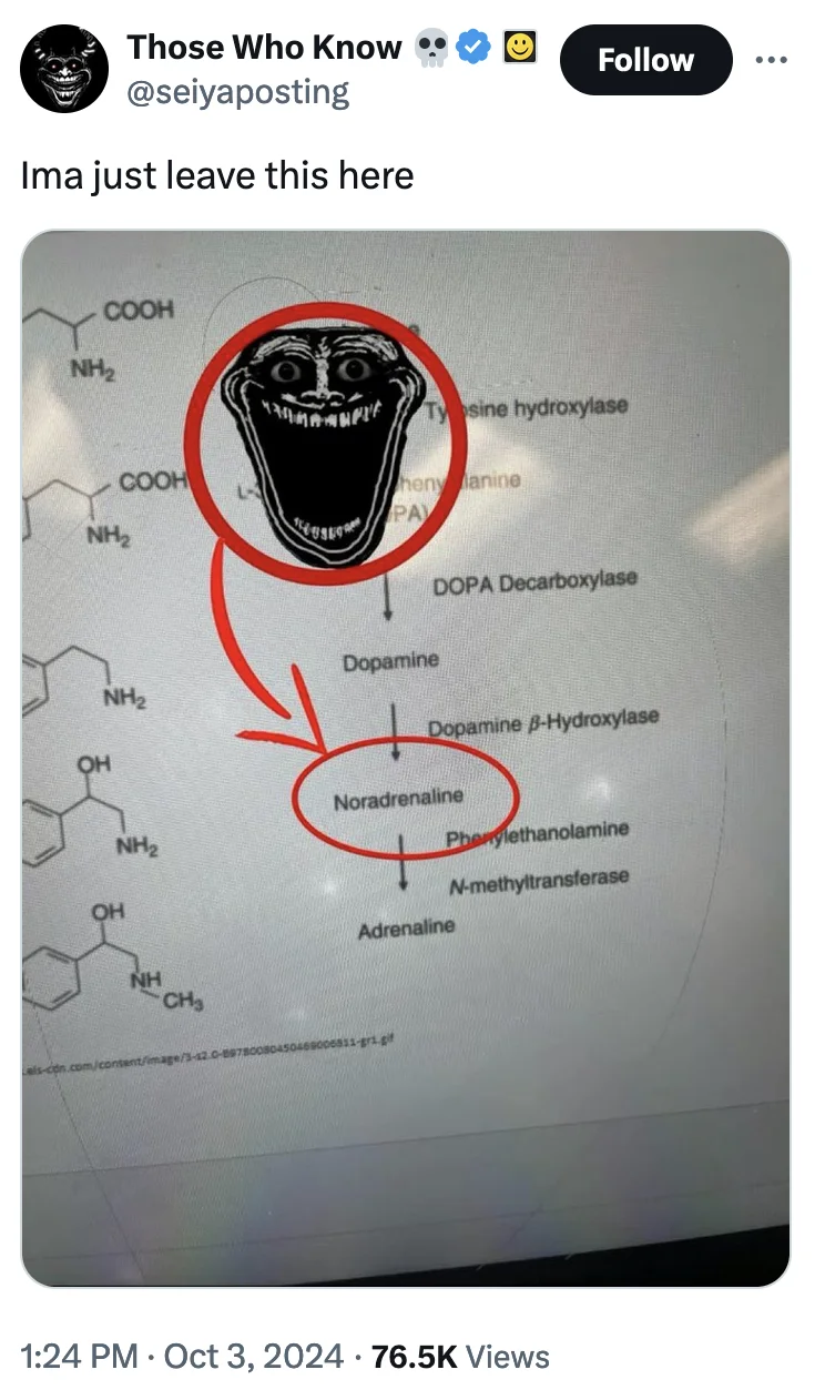 Twitter post by @seiyaposting sharing the Trollge noradrenaline pathway image