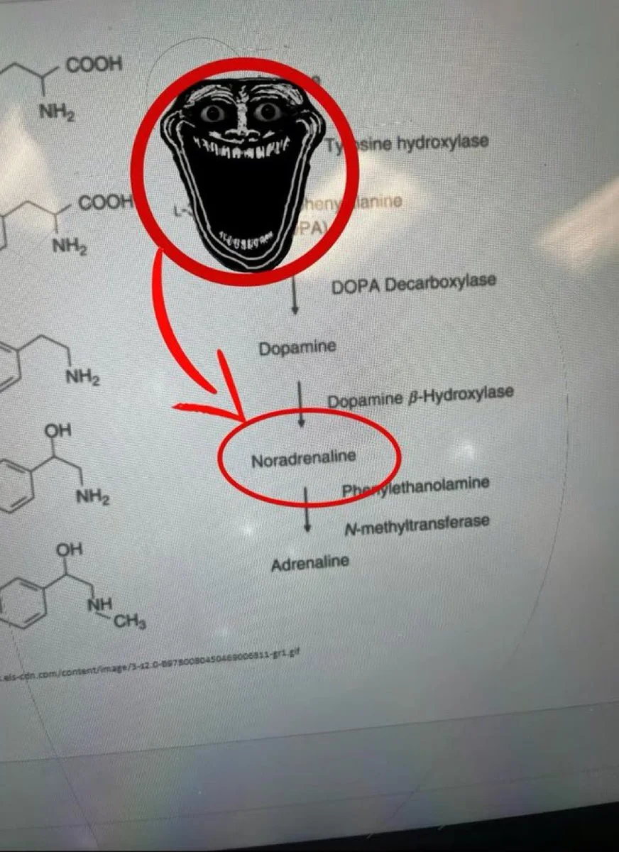 Noradrenaline