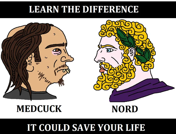 Nordic — Learn the Difference meme showing Medcuck soyjak versus Nord chad with laurel wreath