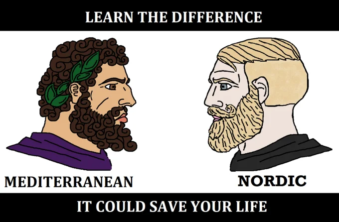Learn the Difference meme showing Mediterranean and Nordic chads side by side