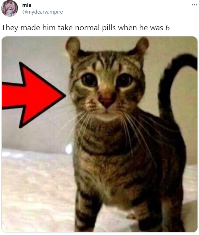Tweet showing wide-eyed cat captioned about being forced to take normal pills