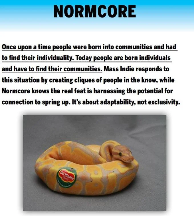 Normcore explainer infographic with text over a photo of a yellow snake wearing a Del Monte sticker