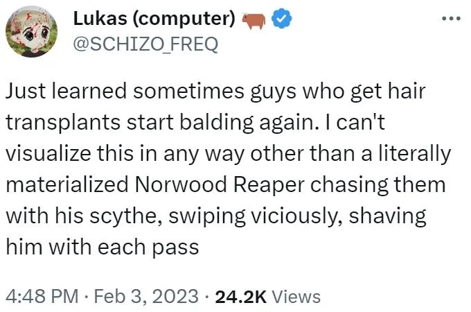 Norwood Scale Norwood Reaper — Twitter post about materialized Norwood Reaper chasing people after hair transplants.