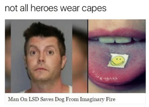 Not All Heroes Wear Capes — Meme with mugshot and LSD tab captioned 'Man on LSD saves dog from imaginary fire'
