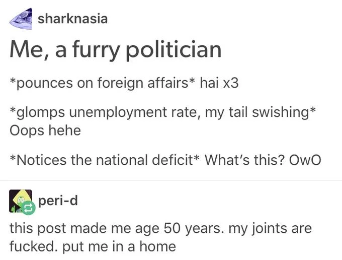 Notices Bulge Owo Whats This — Tumblr post imagining furry politician using OwO roleplay on national policy with shocked responses.