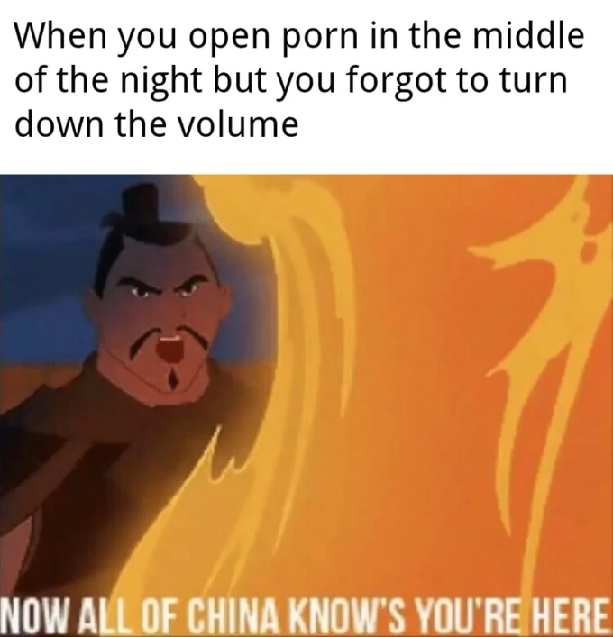 Now All of China Knows You're Here — Meme joking about forgetting to mute porn at night, featuring Shan Yu in flames