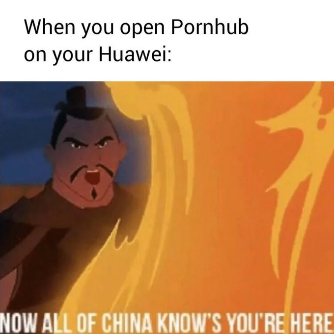 Now All of China Knows You're Here — Meme joking about opening Pornhub on a Huawei phone, with Shan Yu in flames