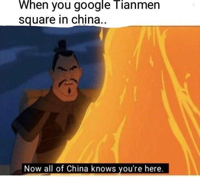 Now All of China Knows You're Here — Meme about googling Tiananmen Square in China, featuring Shan Yu in flames