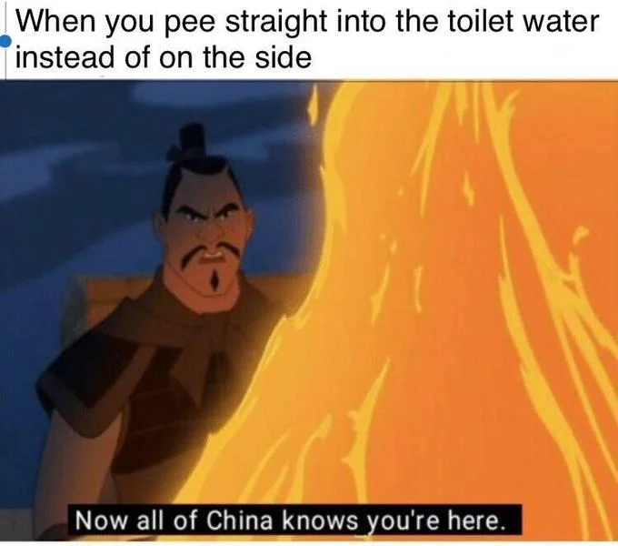 Now All of China Knows You're Here — Meme about noisy toilet peeing, featuring Shan Yu in flames