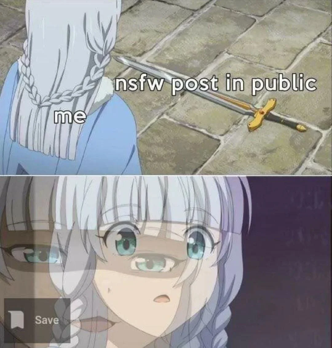 Coin flip meme about NSFW post choosing between nudity and gore