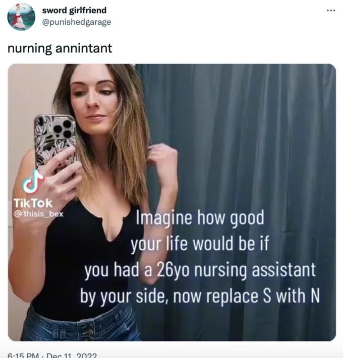 Tweet by @punishedgarage reading 'nurning annintant' with TikTok screenshot embedded