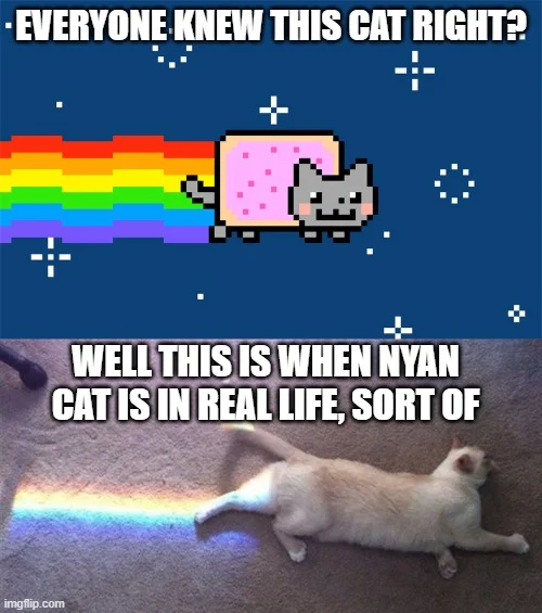 Two-panel macro showing Nyan Cat animation above real cat with rainbow light projection.