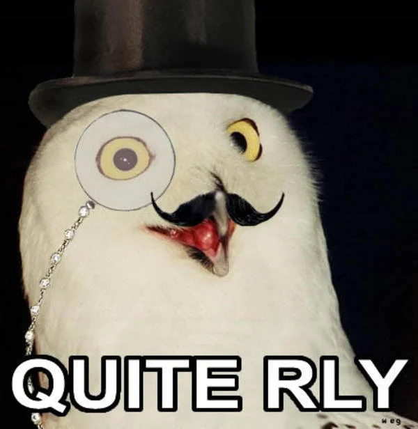 O RLY? — Snowy owl styled as gentleman with top hat and monocle captioned 'QUITE RLY.'