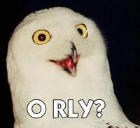 Iconic snowy owl with questioning skeptical expression captioned 'O RLY?' in white text.