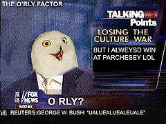O RLY? — Snowy owl on news broadcast background with 'THE O RLY FACTOR' and talking points text.