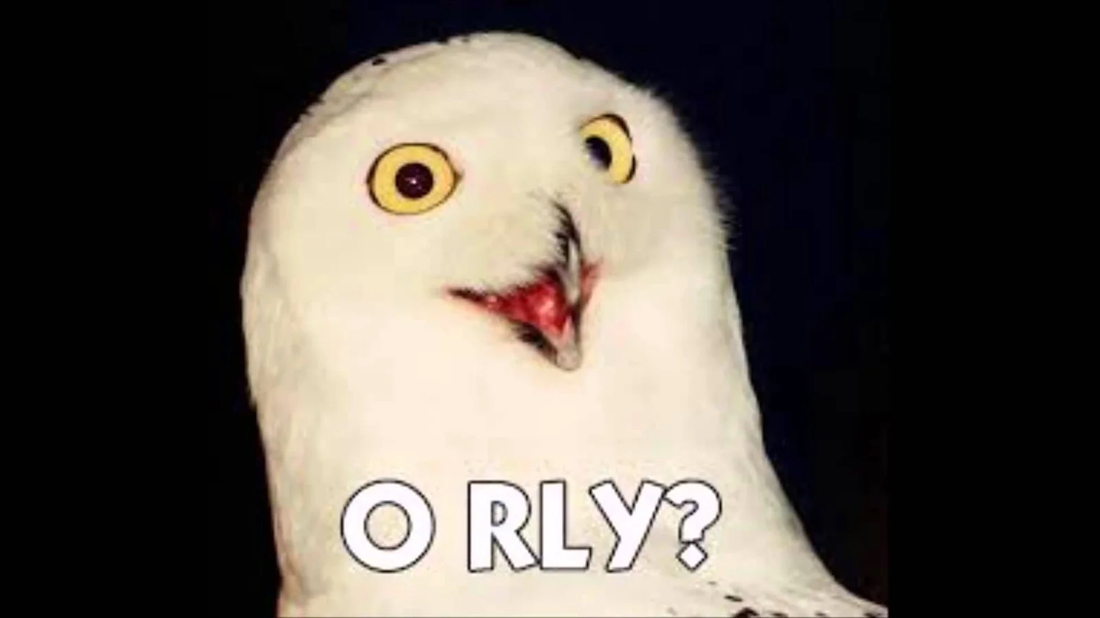 O RLY? Meme: Origin, Meaning & Examples | meme.com