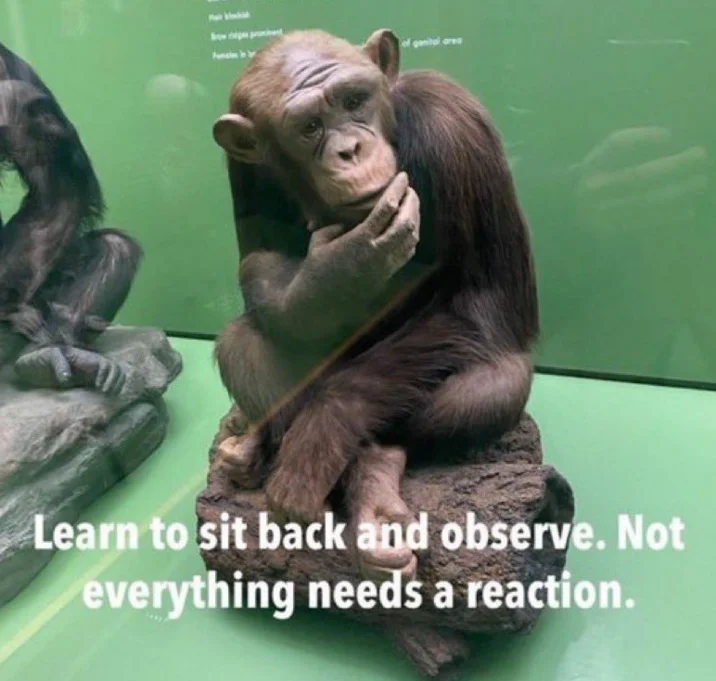 Primate with hand to chin in deeply contemplative gesture with observe philosophy text.