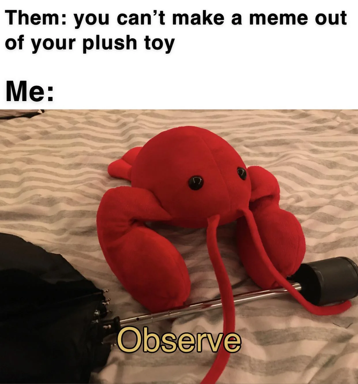 Red crab plush toy responding 'Observe' to challenge about making meme from toy.
