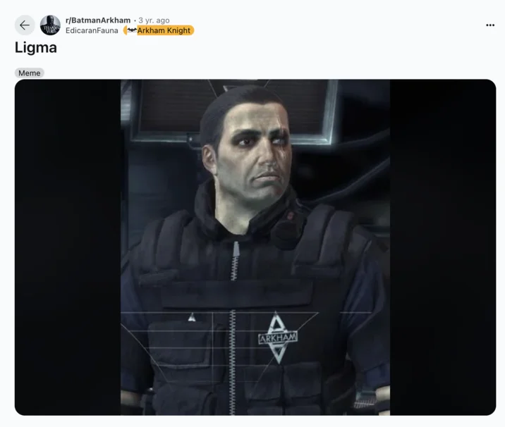 Officer Balls — Reddit post showing Officer Boles in-game model captioned 'Ligma' as ligma-balls setup joke.
