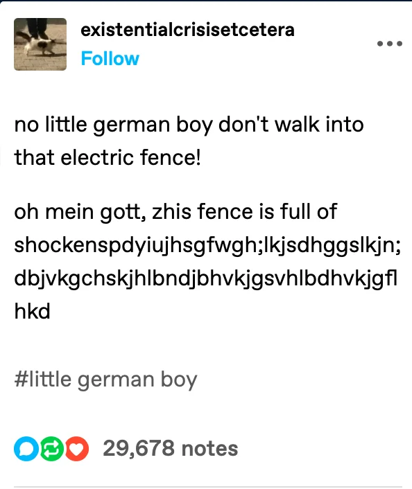 Oh Mein Gott Zees Is Ein Cave Full Of Blüntsmoken! — Tumblr post variant with 'no little german boy don't walk into that electric fence' and keyboard mash