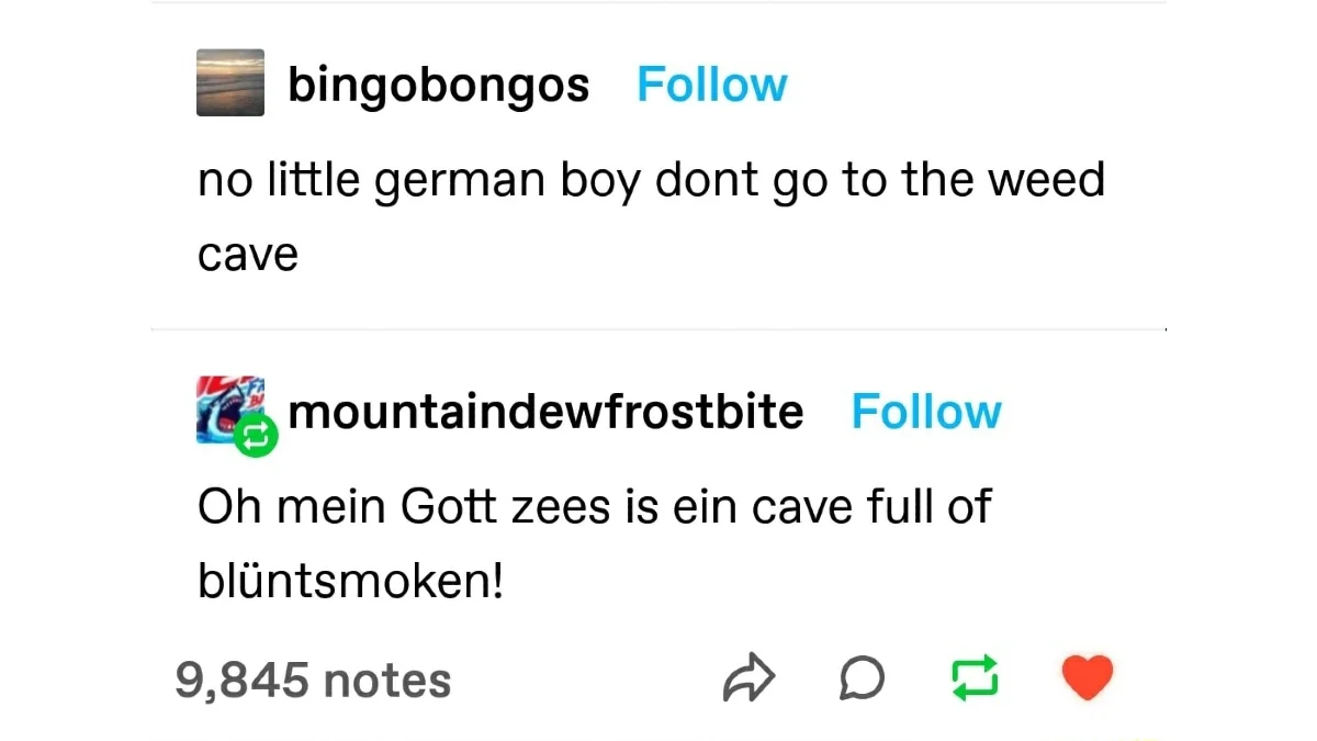 Tumblr post with bingobongos warning not to go to the weed cave and mountaindewfrostbite replying 'Oh mein Gott zees is ein cave full of blüntsmoken!'