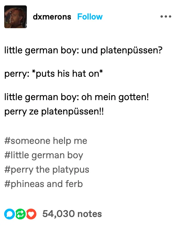 Oh Mein Gott Zees Is Ein Cave Full Of Blüntsmoken! — Tumblr post variant combining the German boy meme with Perry the Platypus from Phineas and Ferb