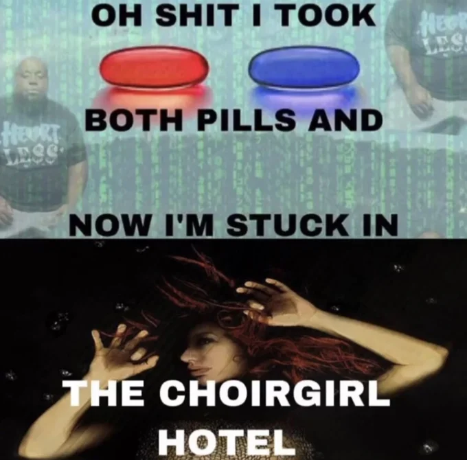 Oh Shit I Took Both Pills — Both pills meme ending with the Tori Amos Choirgirl Hotel album art and the text 'now I'm stuck in the Choirgirl Hotel'.
