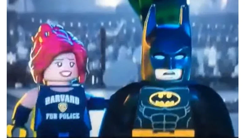 Ok Batman Well Take It From Here