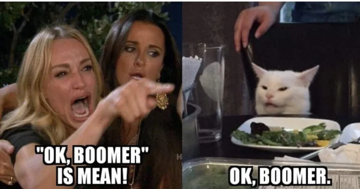 Dual-panel meme with distracted girlfriend and unimpressed cat showing OK BOOMER dismissal.